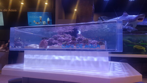 A_A20201005_165211.jpg