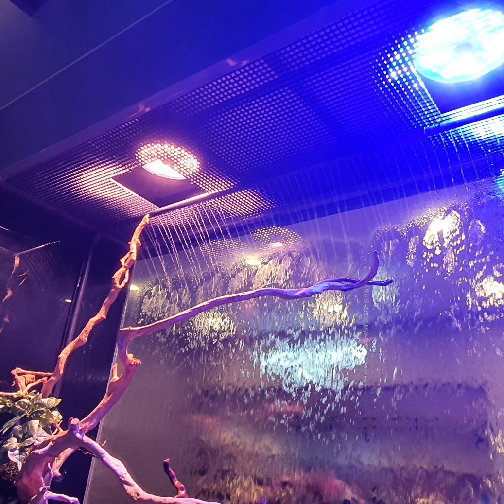 2021년 하남 아쿠아 스타필드 카페