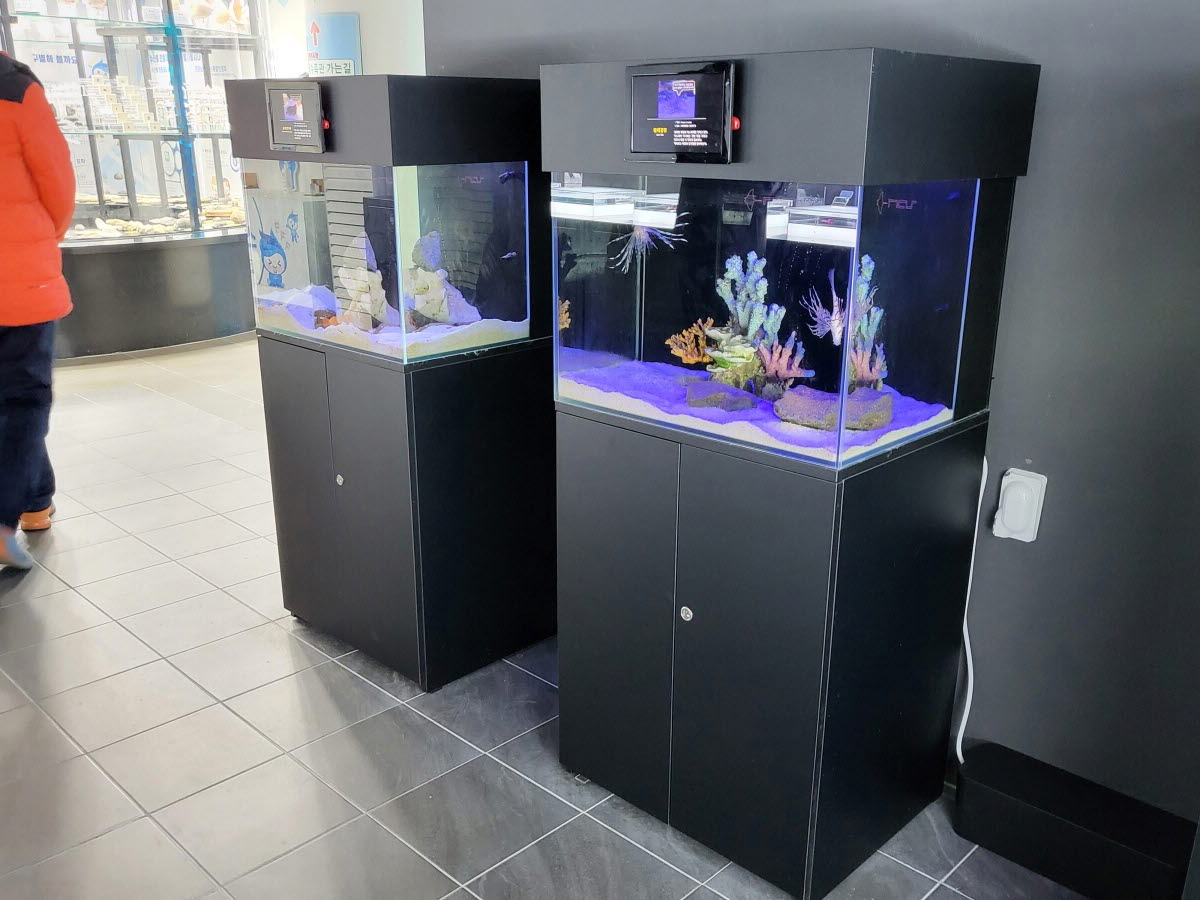 2021년 여수 해양수산과학관-전시시설유지관리공사