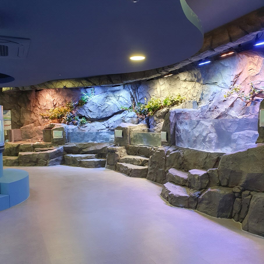 2023년 장흥물과학관