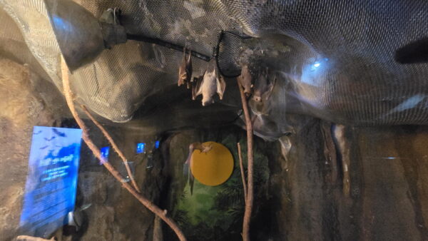 A_A20250715_175145.jpg