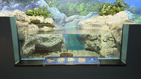 A_A20250715_175535.jpg
