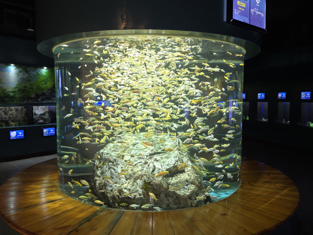 2025년 울진 민물체험관 수달 아크릴 교체