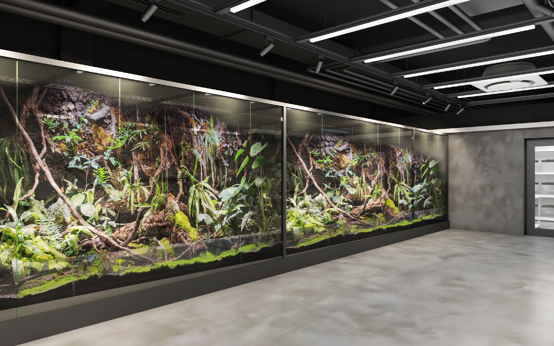 A_A아크릴_제작_ATM_기공_파충류_식물_GRC_아쿠아리움_열대어_물고기_인테리어01.jpg